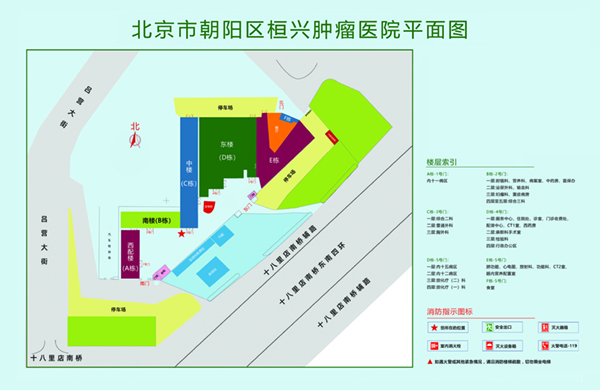 操逼逼逼逼逼逼逼逼逼北京市朝阳区桓兴肿瘤医院平面图